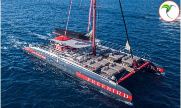 Freebird catamaran Tenerife...