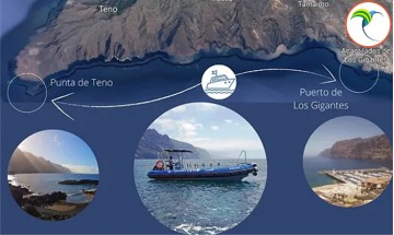Excursion en bateau Los...