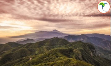Descubre el Encanto de...