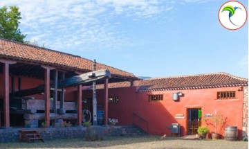 Tenerife on a Plate: Wines...