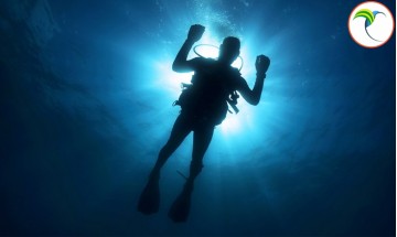 Curso de Buceo - Advanced...