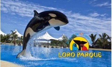 Loro Park Tenerife -...