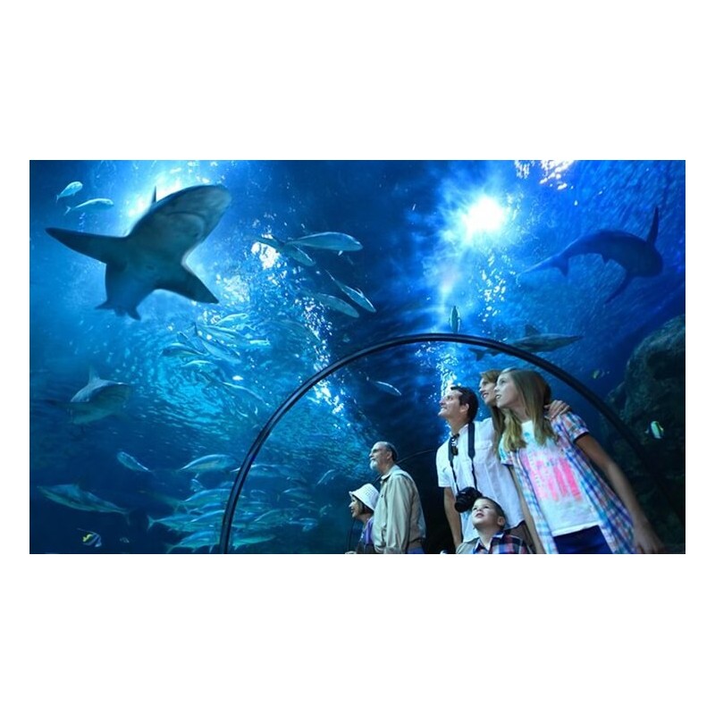 Loro Park Тенерифе – аквариум с акулами