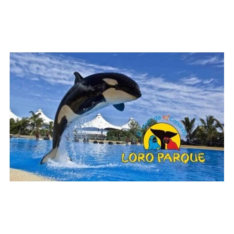 Loro Park Teneryfa – pokaz orek