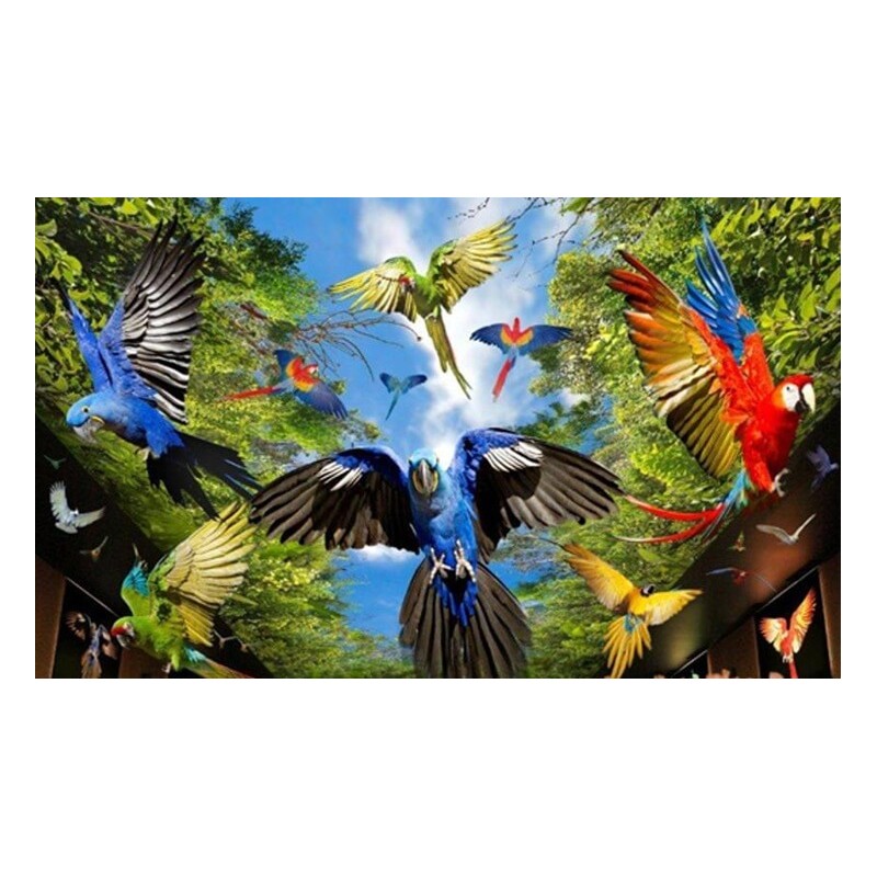 Loro Park Tenerife – tropical parrots