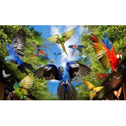 Loro Park Teneriffa – tropische Papageien