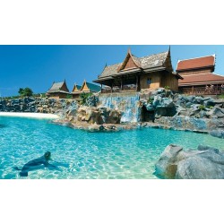 Siam Park Тенерифе – тропический бассейн