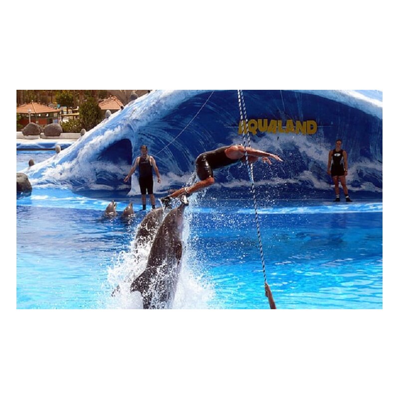 Aqualand Tenerife – dolphins in water park