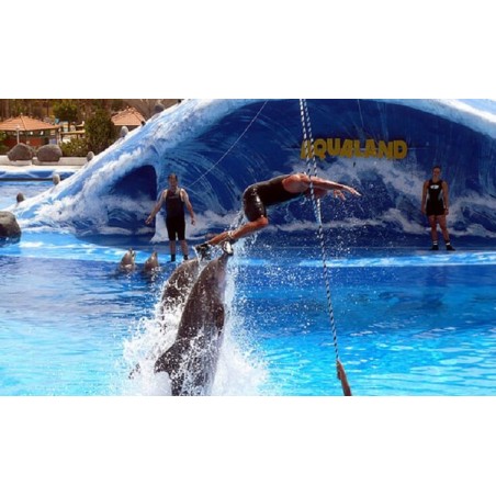 Aqualand Tenerife – dauphins dans le parc aquatique