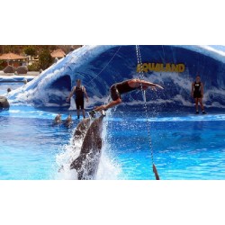 Aqualand Tenerife – dolphins in water park