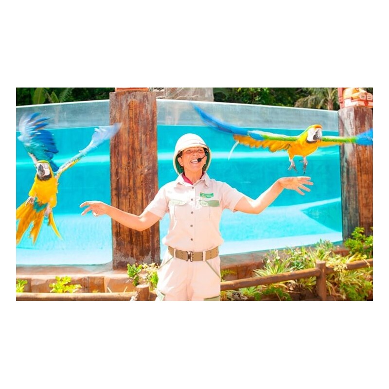 Jungle Park Teneryfa – papugi