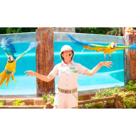 Jungle Park Teneryfa – papugi