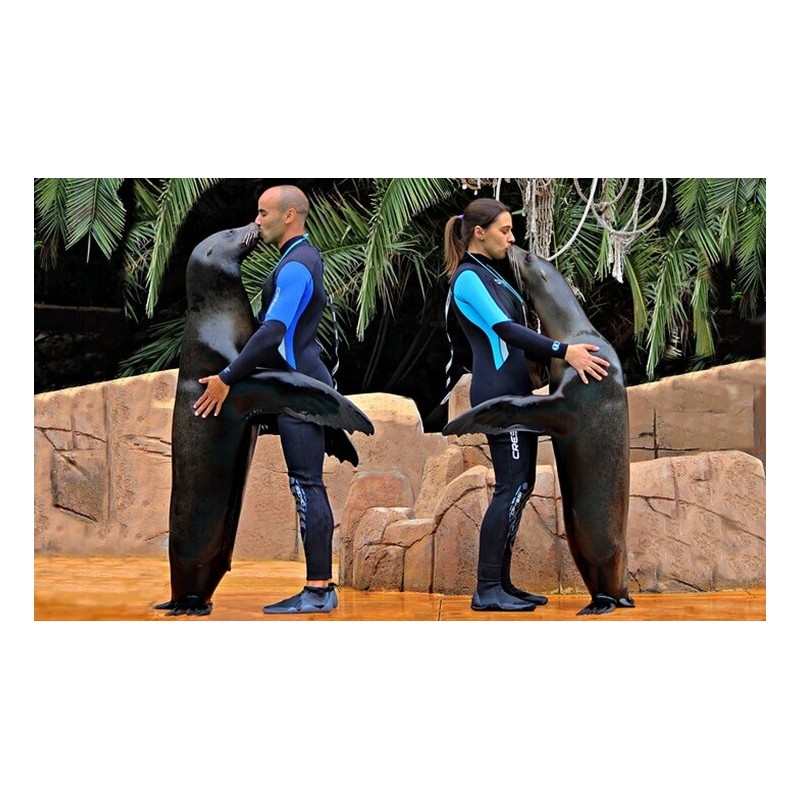 Jungle Park Tenerife – spectacle de lions de mer