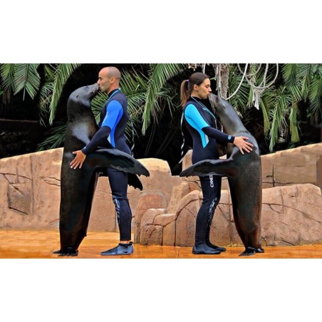 Jungle Park Tenerife – sea lion show