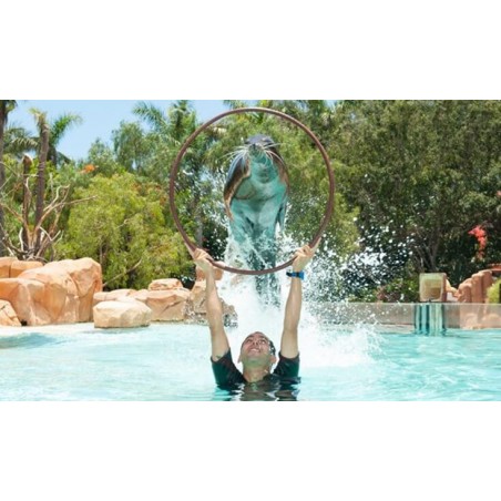 Jungle Park Teneryfa – pokaz fok