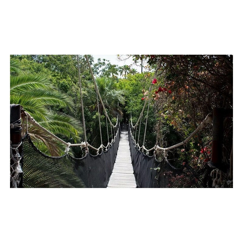 Jungle Park Teneryfa – most linowy