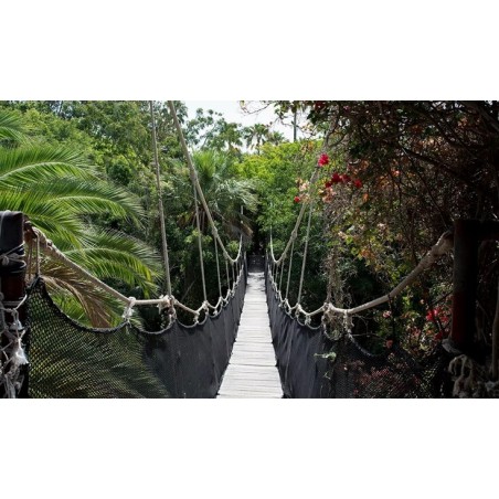 Jungle Park Teneryfa – most linowy