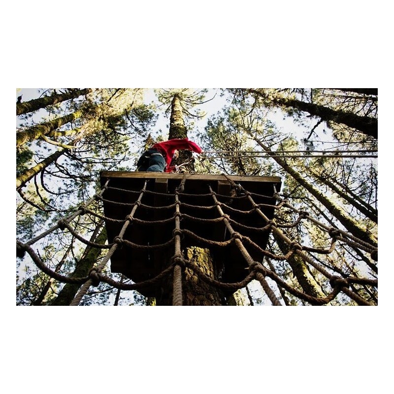 Forestal Park Teneryfa – aktywna rozrywka