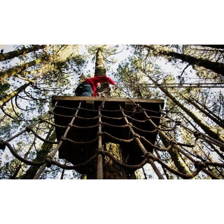 Forestal Park Teneryfa – aktywna rozrywka