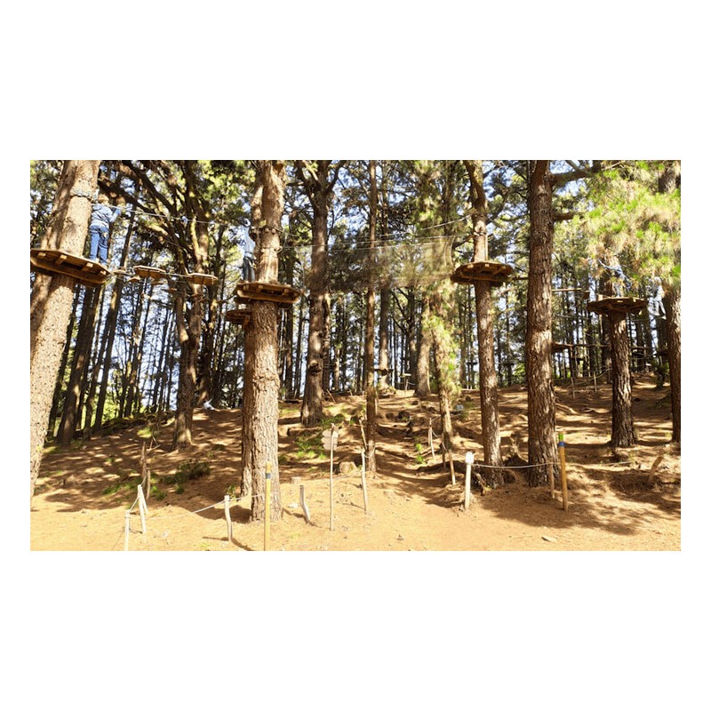 Forestal Park Teneryfa – aktywność w naturze