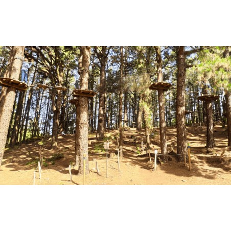Forestal Park Teneryfa – aktywność w naturze