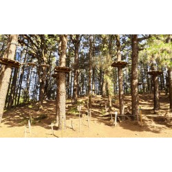 Forestal Park Teneryfa – aktywność w naturze