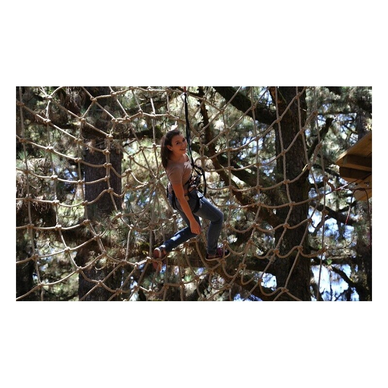 Forestal Park Teneryfa – adrenalina w lesie