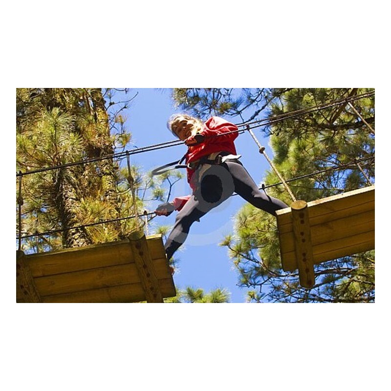 Forestal Park Tenerife – actividades al aire libre