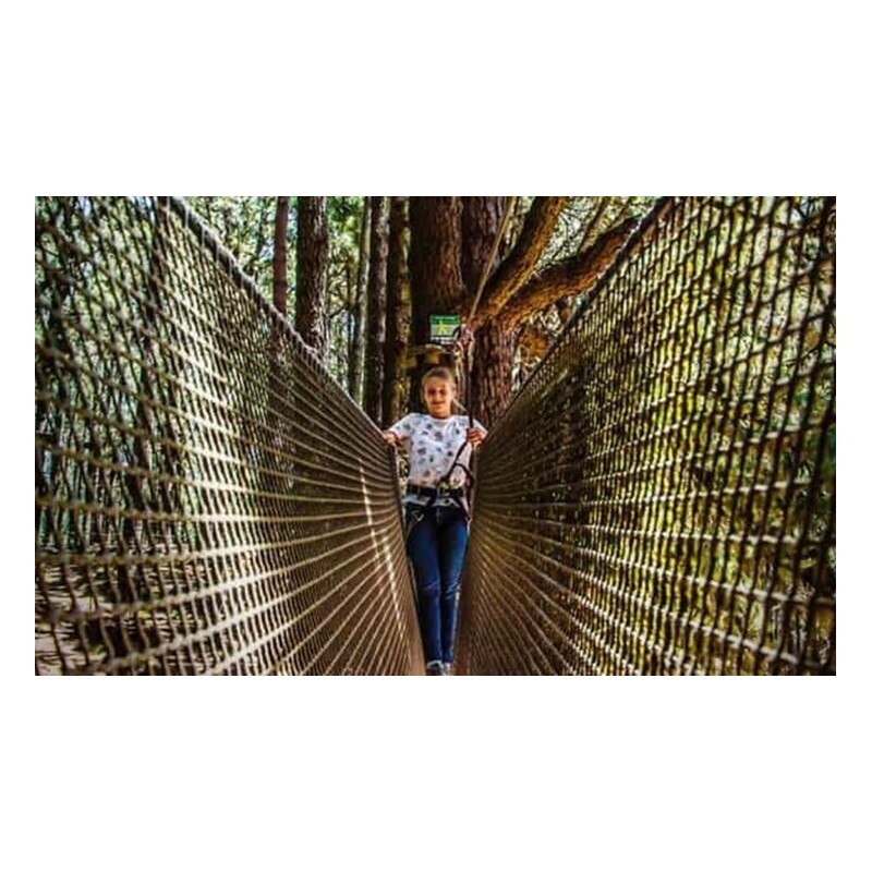 Forestal Park Tenerife – aventure active