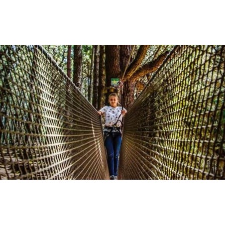 Forestal Park Tenerife – aventure active