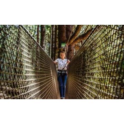 Forestal Park Тенерифе – активное приключение