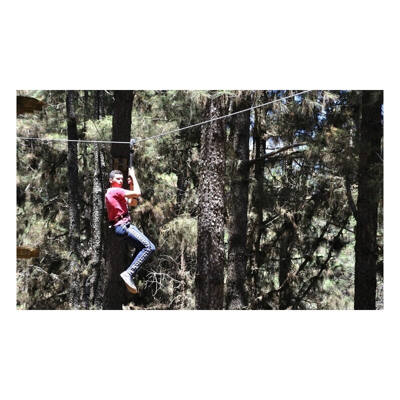 Forestal Park Teneryfa – przygoda w lesie