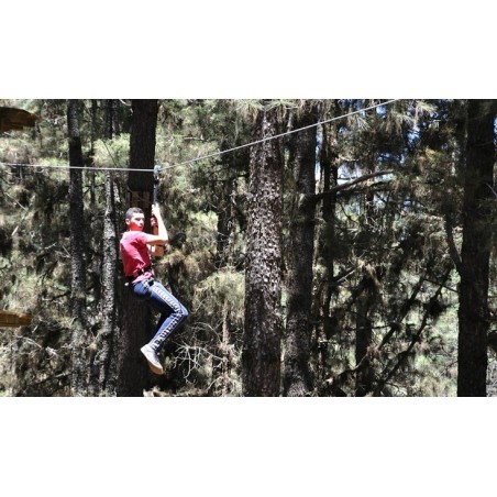 Forestal Park Teneryfa – przygoda w lesie