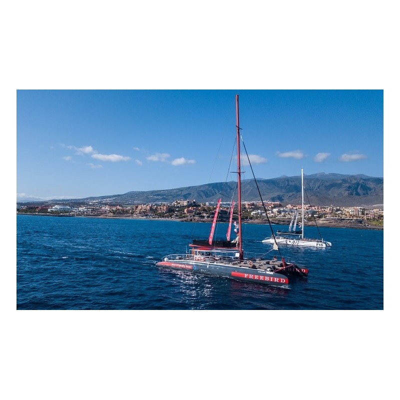 Freebird Teneriffa – Meeresausflug