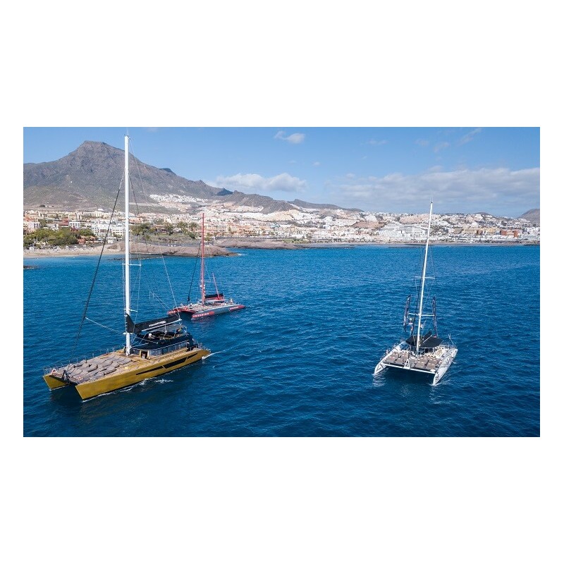 Freebird Тенерифе – тур на катамаране