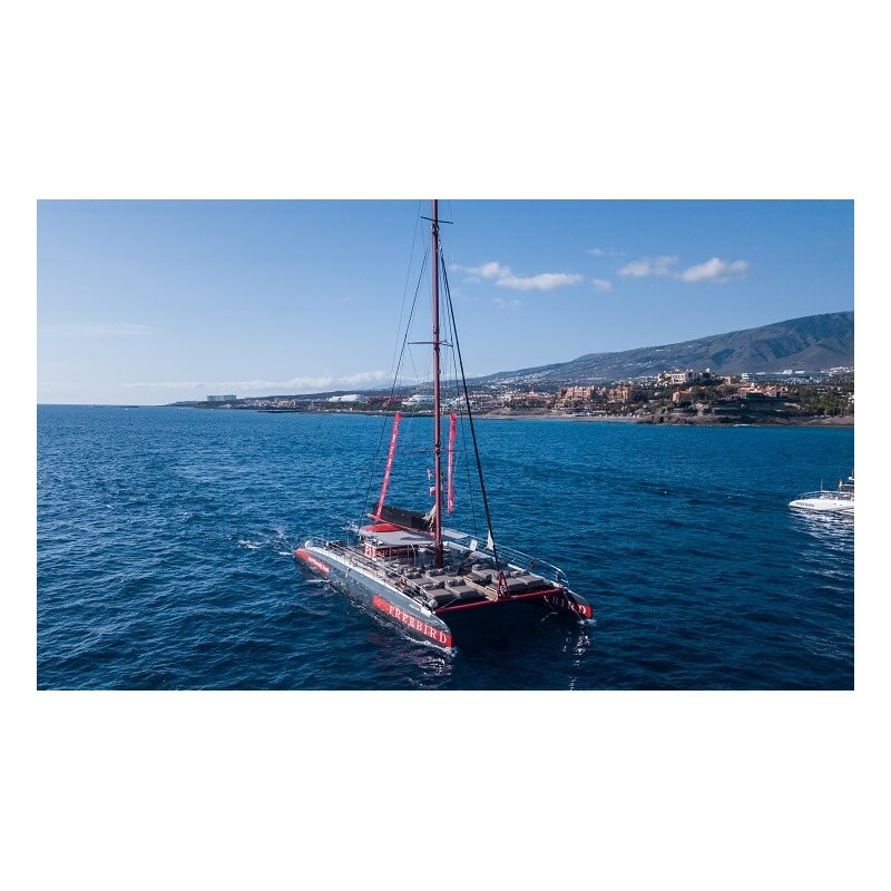 Freebird Teneriffa – Katamaranfahrt