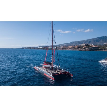 Freebird Teneriffa – Katamaranfahrt