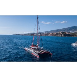 Freebird Teneriffa – Katamaranfahrt
