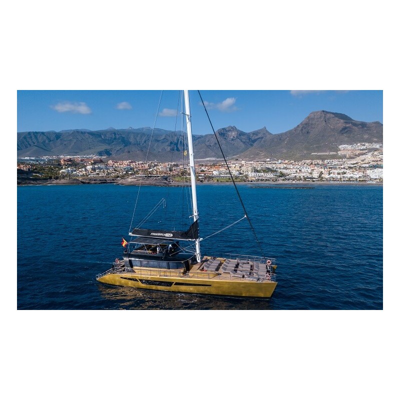 Freebird Teneriffa – Rundfahrt