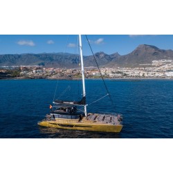 Freebird Teneriffa – Rundfahrt