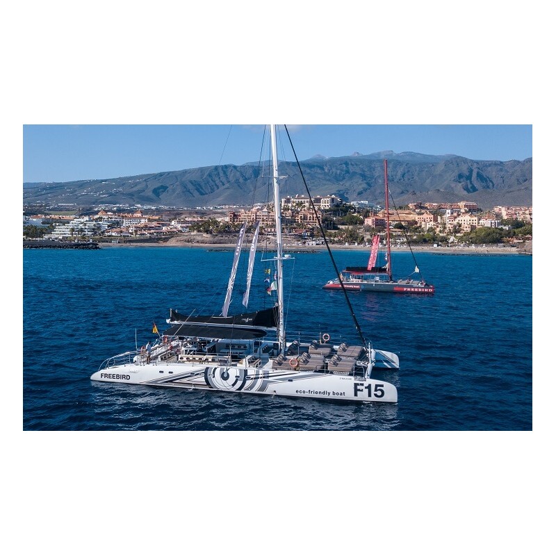 Freebird Teneriffa – Küstenfahrt