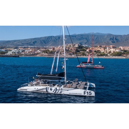 Freebird Teneriffa – Küstenfahrt