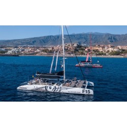 Freebird Teneriffa – Küstenfahrt