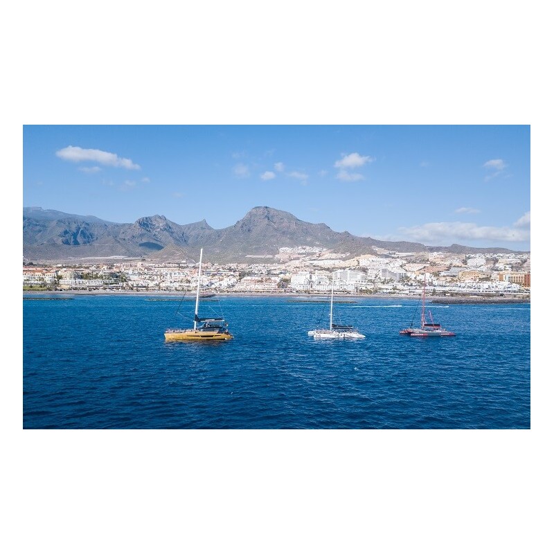 Freebird Teneriffa – Touristenattraktion