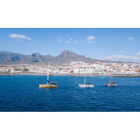 Freebird Teneriffa – Touristenattraktion