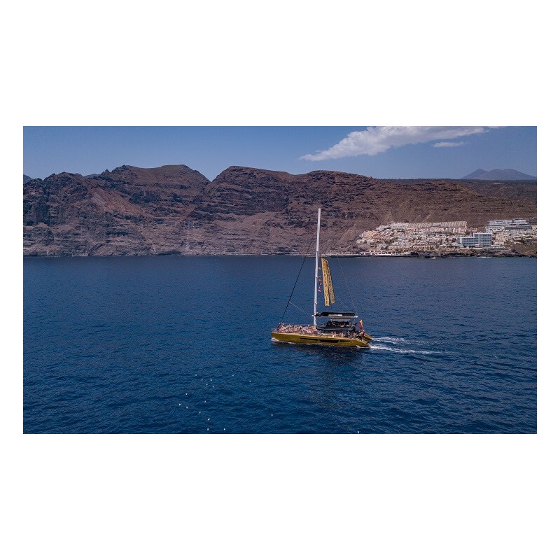 Freebird Tenerife – crucero excursión
