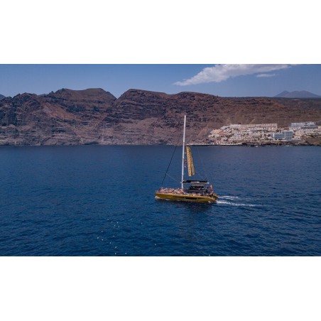 Freebird Tenerife – crucero excursión