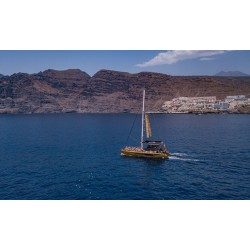 Freebird Tenerife – croisière excursion