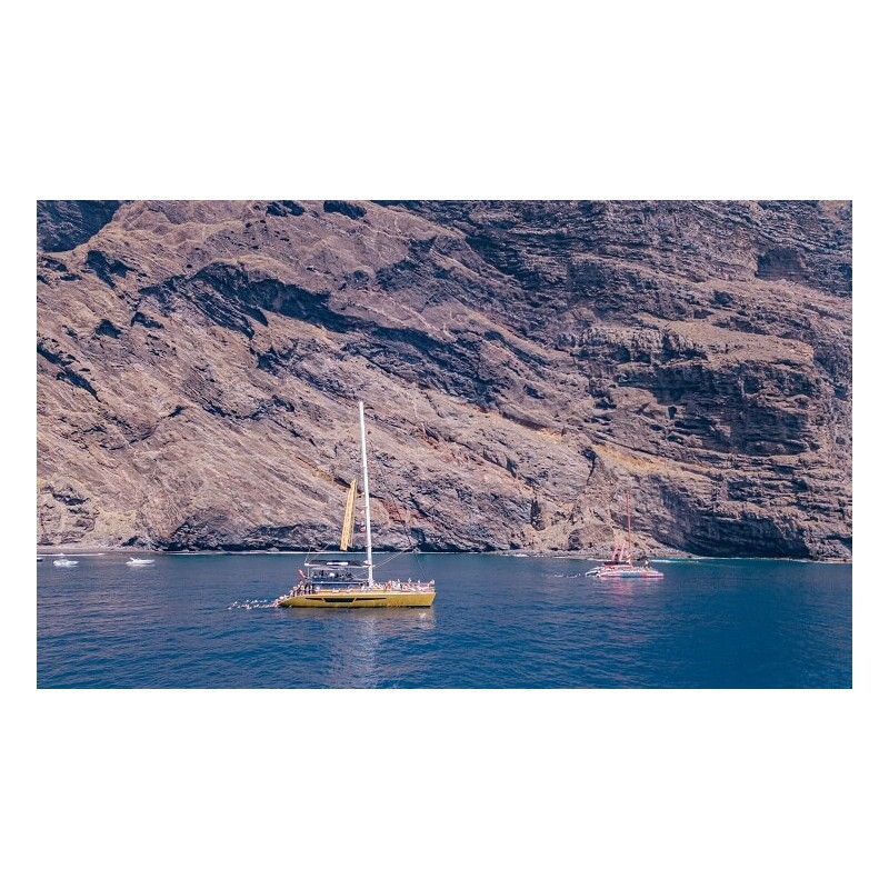 Freebird Tenerife – actividades turísticas