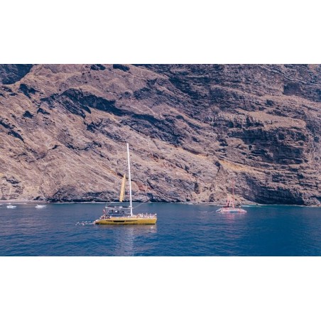 Freebird Teneriffa – touristische Aktivitäten